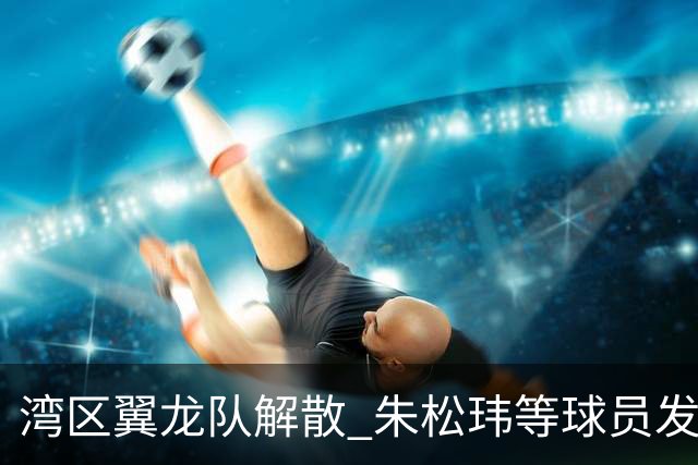 湾区翼龙队解散 朱松玮等球员发布声明维权